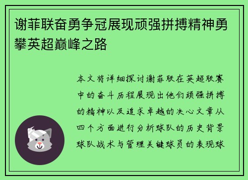谢菲联奋勇争冠展现顽强拼搏精神勇攀英超巅峰之路