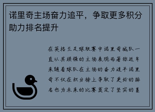 诺里奇主场奋力追平，争取更多积分助力排名提升