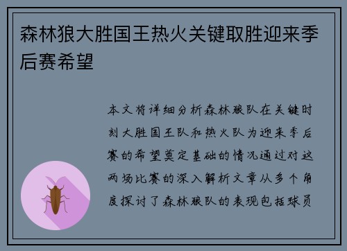 森林狼大胜国王热火关键取胜迎来季后赛希望