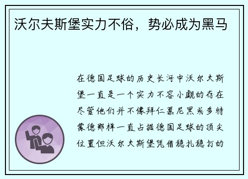 沃尔夫斯堡实力不俗，势必成为黑马