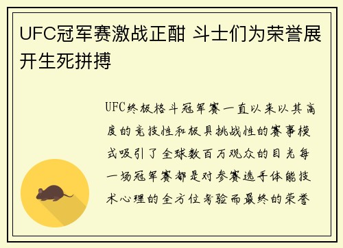 UFC冠军赛激战正酣 斗士们为荣誉展开生死拼搏